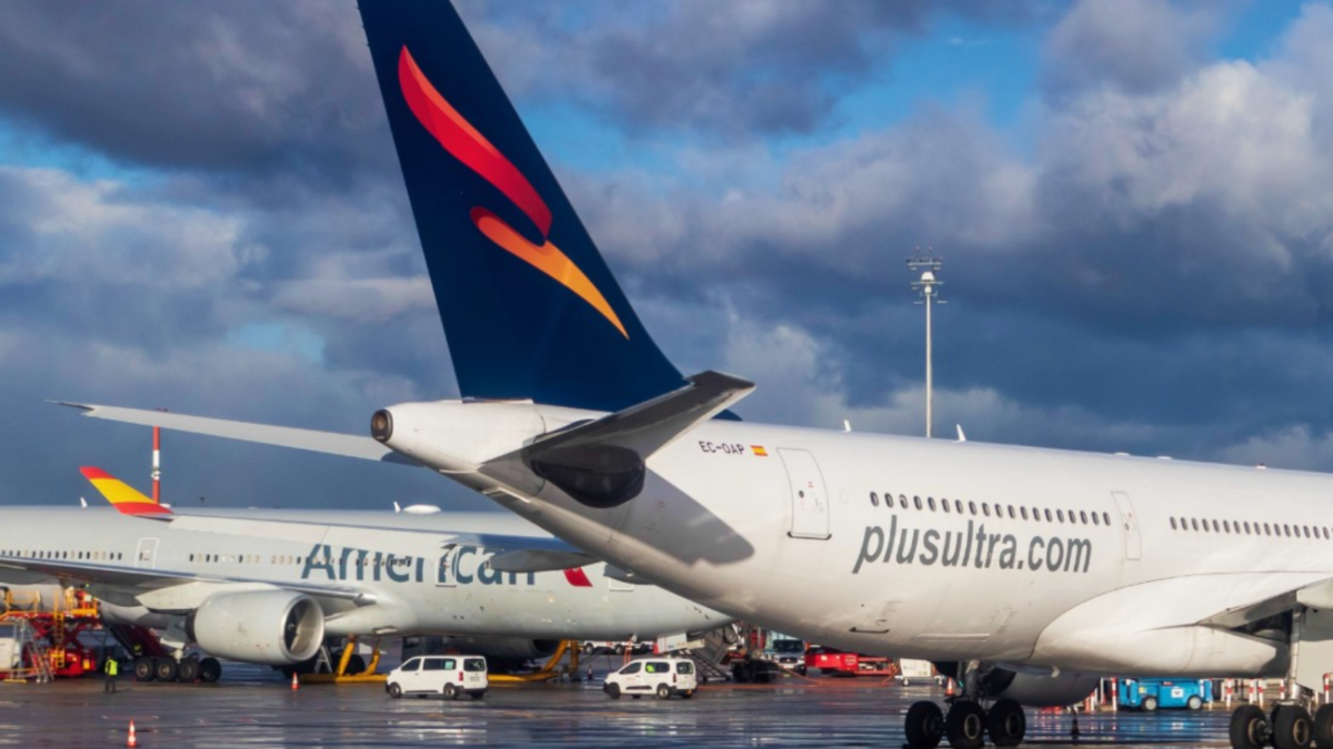 Borrador automático