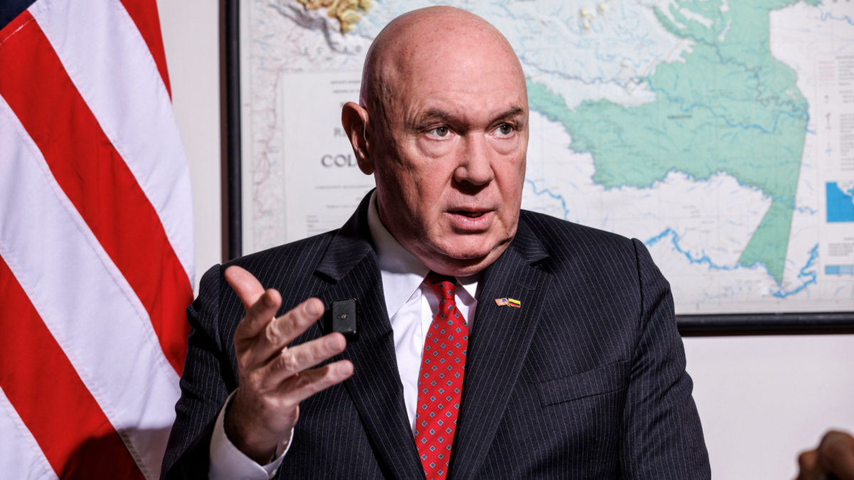 Borrador automático