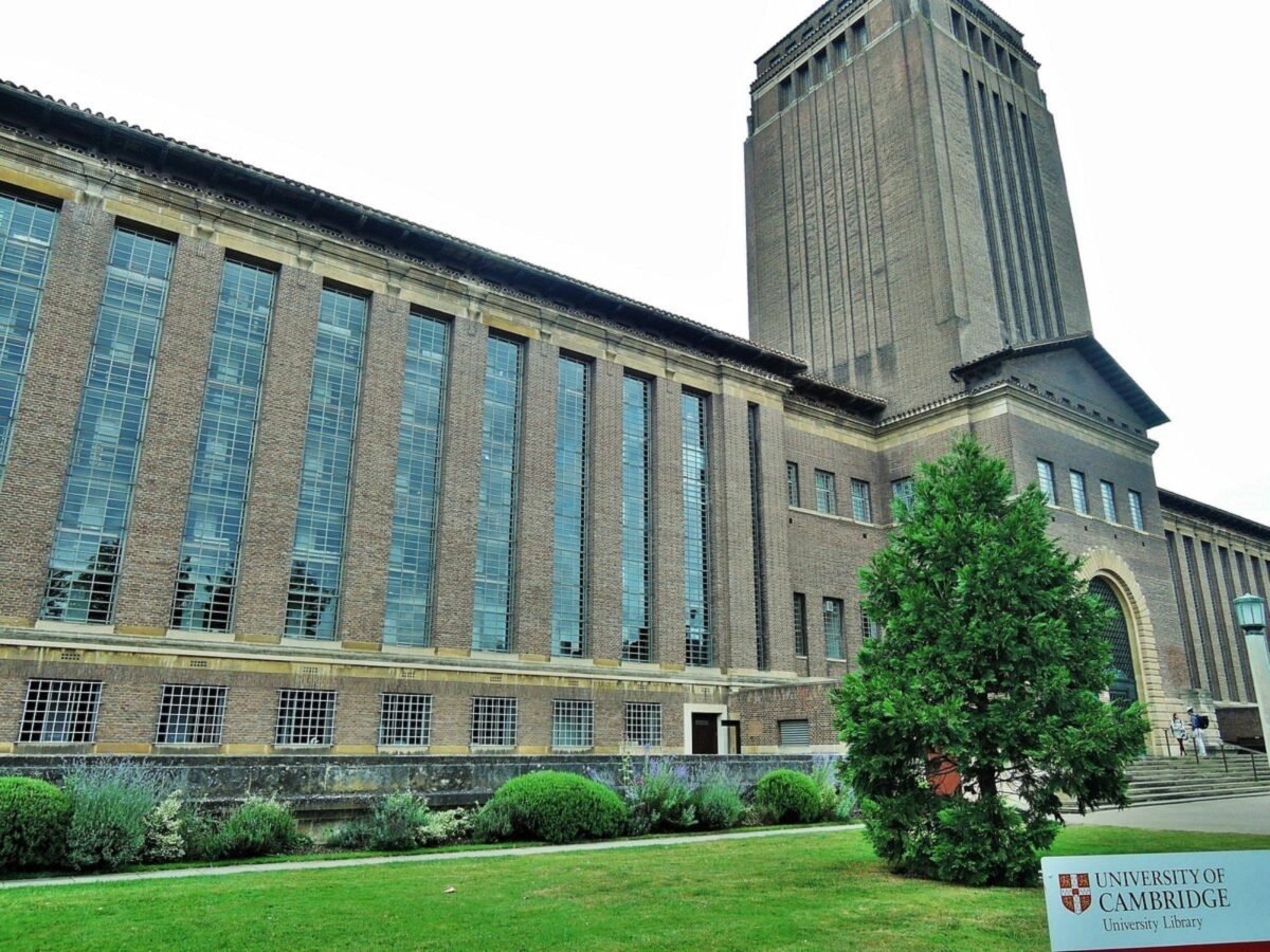 Crearon un dispositivo portátil permite hablar en tiempo real a personas con problemas del habla