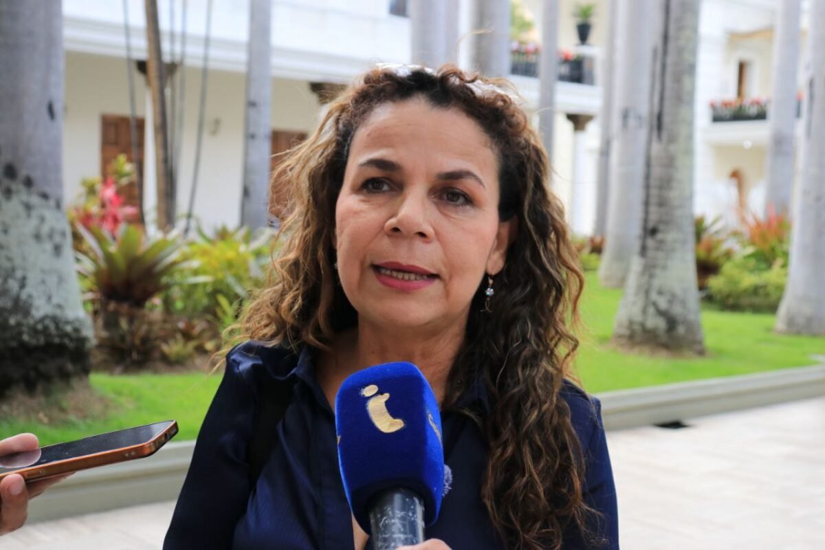 ¿Quiénes integran la comisión para la consulta del proyecto de ley de amnistía?