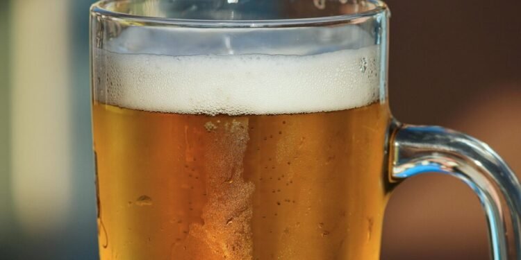 Acordaron un impuesto especial y varias prohibiciones para las Fiestas en Elorza