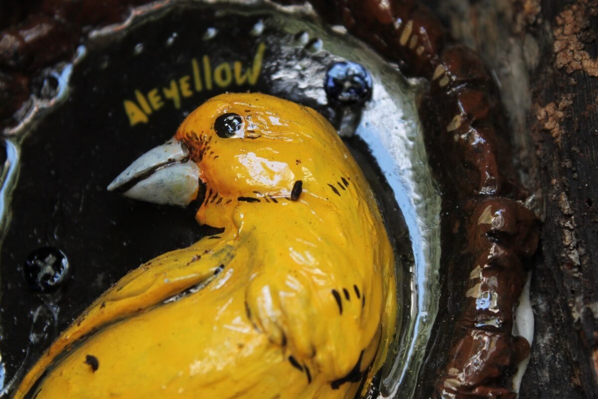 Alejandra Cedeño y su misión de sanar con arte las cicatrices de la ciudad 