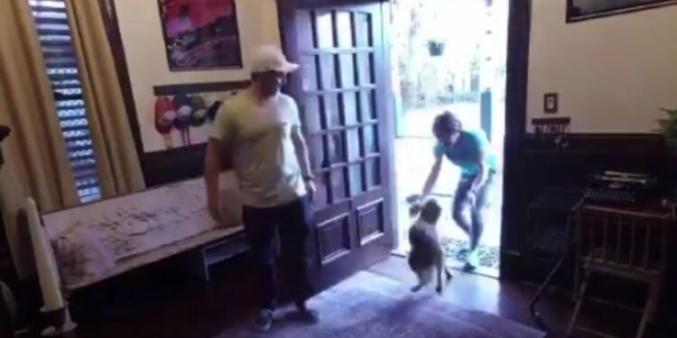 Artemis II: el reencuentro de la astronauta Christina Koch con su perrita